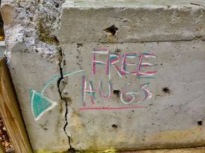 14956012_1291348790896750_2539553645789681157_n